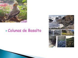 Colunas de Basalto