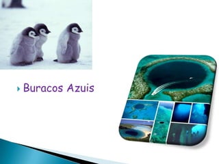 Buracos Azuis
