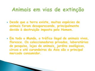 Desde que a terra existe, muitas espécies de animais foram desaparecendo, principalmente devido à destruição imposta pelo Homem.Em todo o Mundo, o tráfico ilegal de animais vivos, floresce. Os coleccionadores privados, laboratórios de pesquisa, lojas de animais, jardins zoológicos, circos e até curandeiros da Ásia são o principal mercado consumidor. Animais em vias de extinção