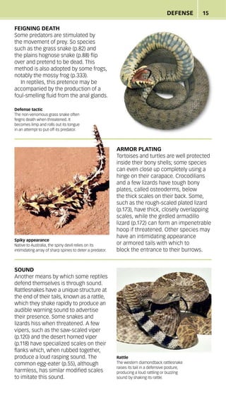 Devil Tortoise Nature_Guide_Snakes_and_Other_Reptiles_and_Amphibians_DK_Publishing.pdf