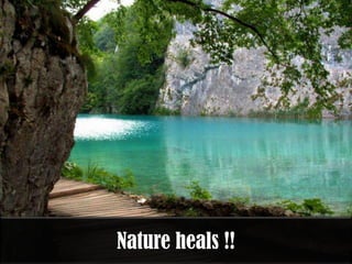 Nature heals !!
 