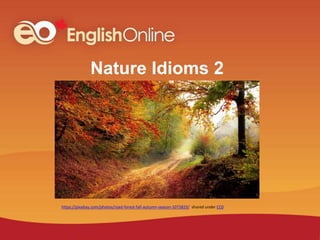 Nature Idioms 2
shared under CC0
https://pixabay.com/photos/road-forest-fall-autumn-season-1072823/
 