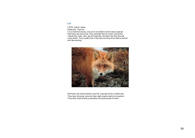 Nature In The Lens Fauna And Flora European Multiguide