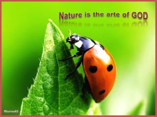 Nature is