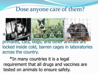 Dose anyone care of them? *Right now, millions of mice, rats, rabbits, primates, cats, dogs, and other animals are locked inside cold, barren cages in laboratories across the country.     *In many countries it is a legal requirement that all drugs and vaccines are tested on animals to ensure safety. 