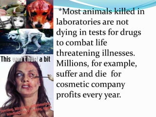  *Most animals killed in laboratories are not dying in tests for drugs to combat life threatening illnesses. Millions, for example, suffer and die  for cosmetic company profits every year. 