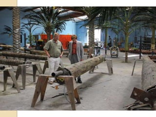 Preserved Palm Tree Design, Manufacturing & Delivery to Venetian, Macau