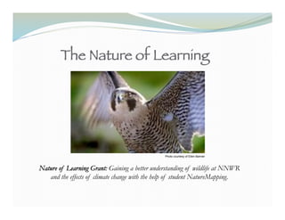 The Nature of Learning!




                                               Photo courtesy of Ellen Banner



Nature of Learning Grant: Gaining a better understanding of wildlife at NNWR
   and the effects of climate change with the help of student NatureMapping.
 