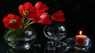 Nature morte fleurs HD