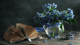 Nature morte fleurs HD