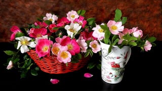 Nature morte fleurs HD