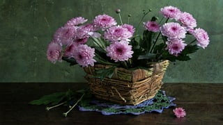 Nature morte fleurs HD