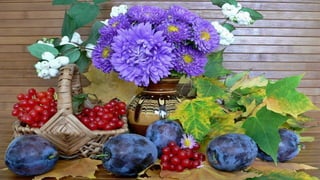 Nature morte fleurs HD