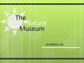 The   Museum   SAVANNAH, GA Nature   