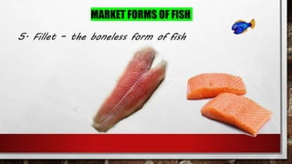 Nature of fish.pptx