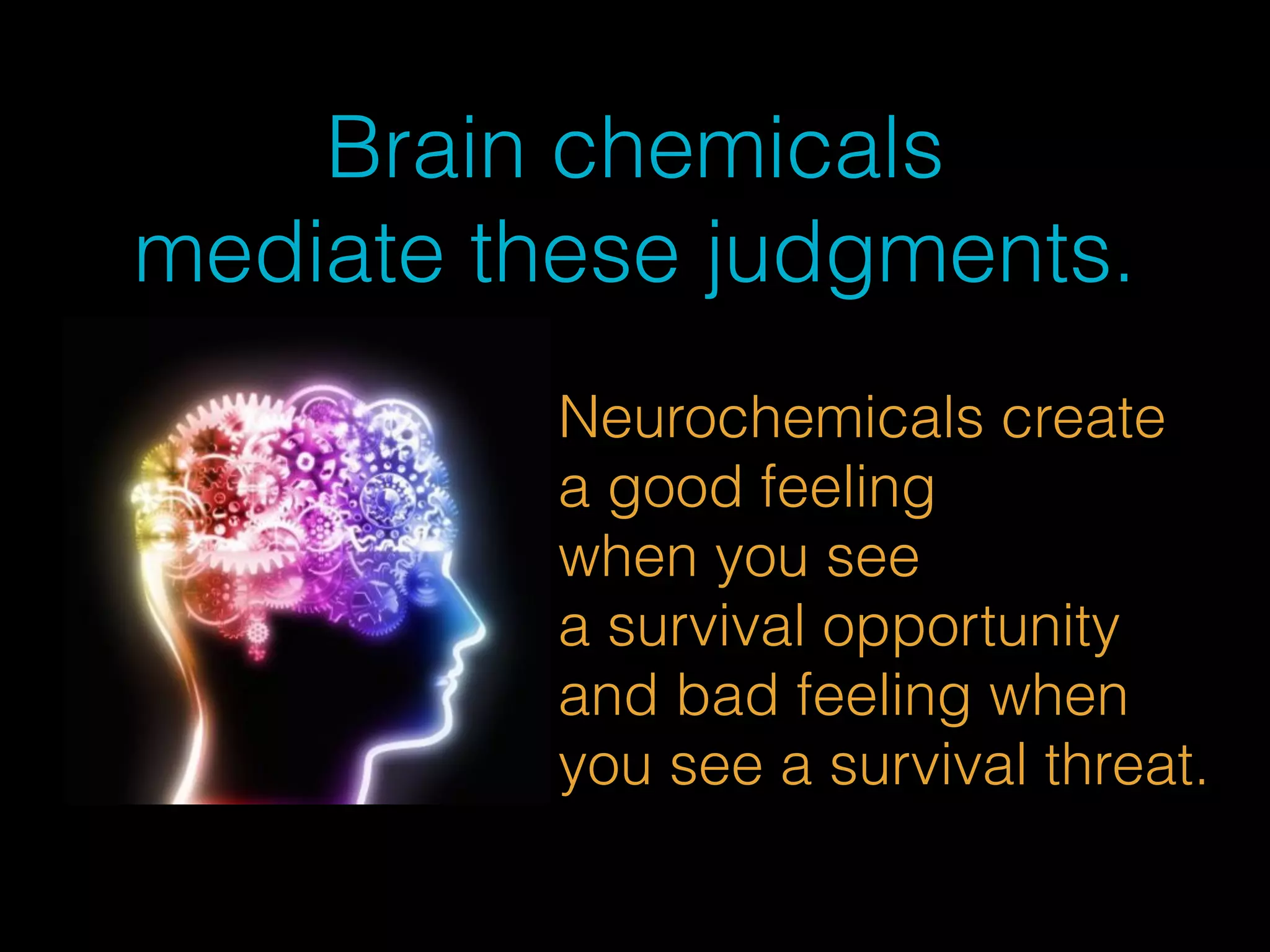 Brain chemicals 
mediate these judgments. 
Neurochemicals create 
a good feeling 
when you see 
a survival opportunity 
and bad feeling when 
you see a survival threat. 
 