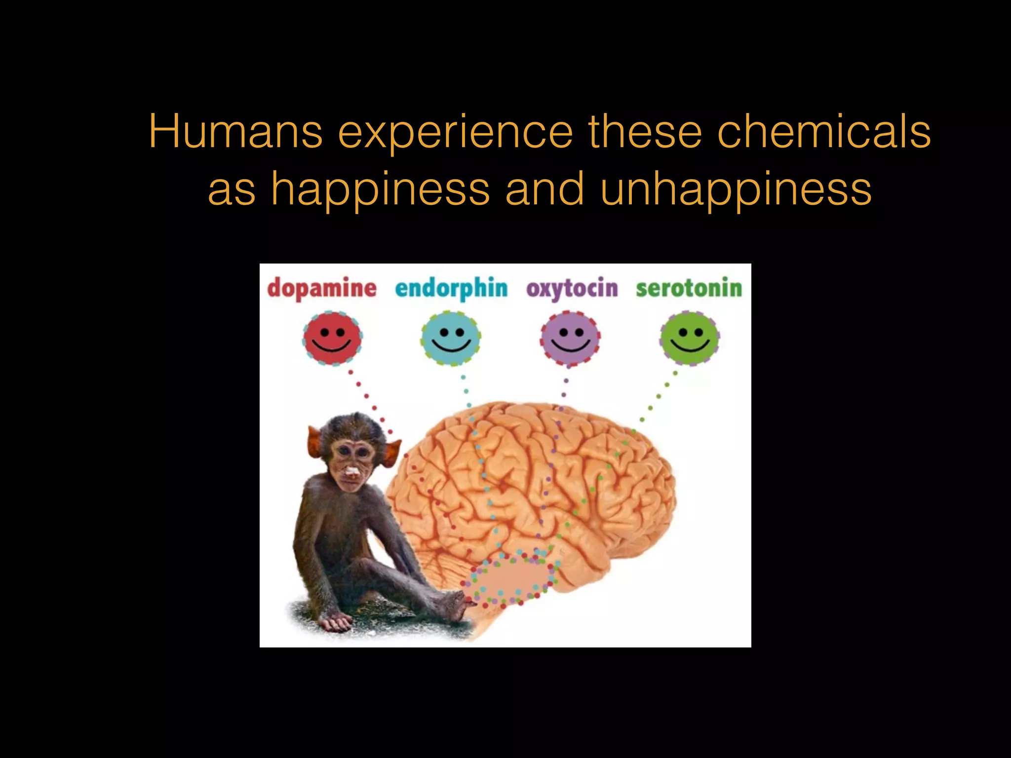 Humans experience these chemicals 
as happiness and unhappiness 
 