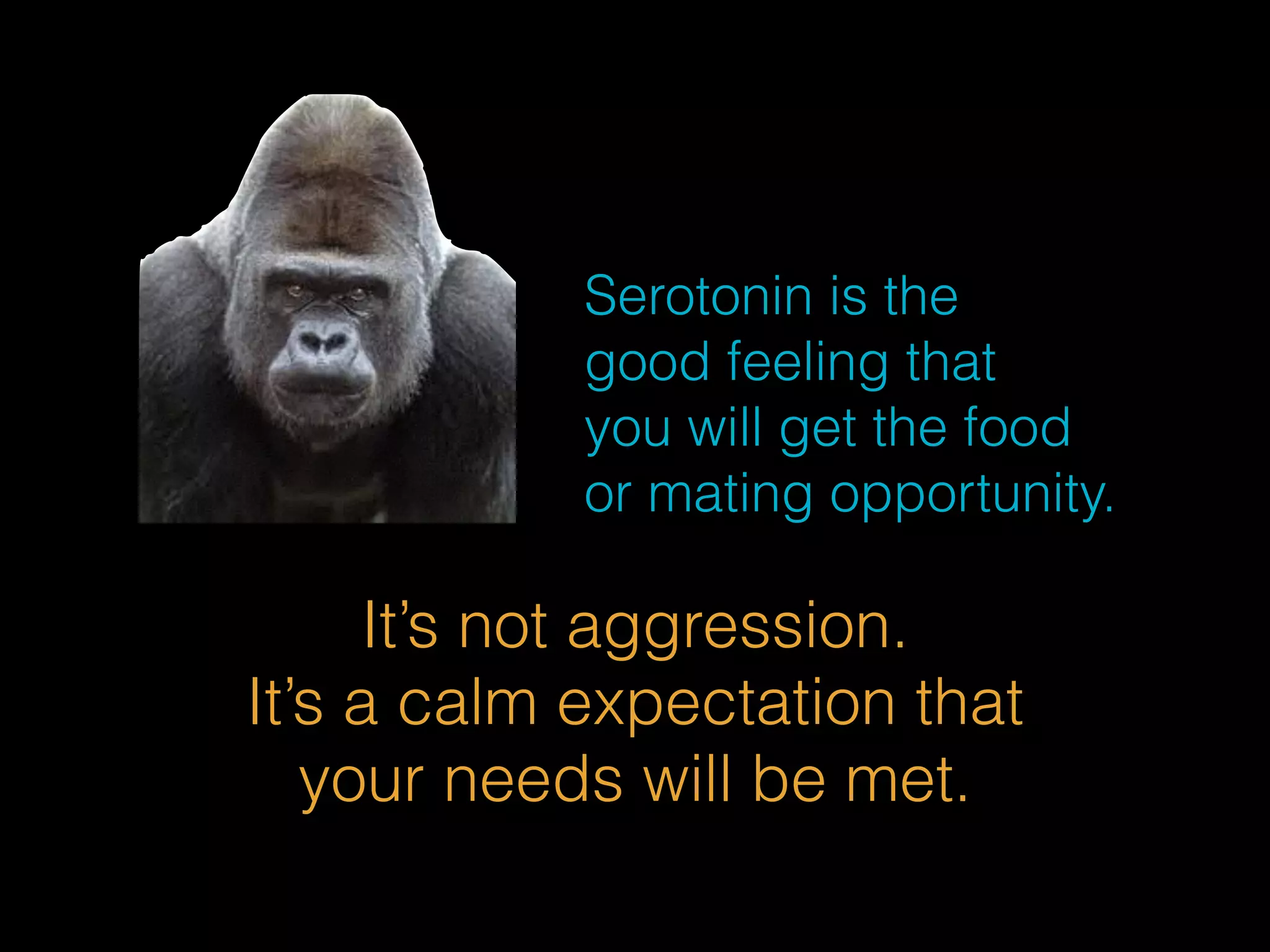 Serotonin is the 
good feeling that 
you will get the food 
or mating opportunity. 
It’s not aggression. 
It’s a calm expectation that 
your needs will be met. 
 