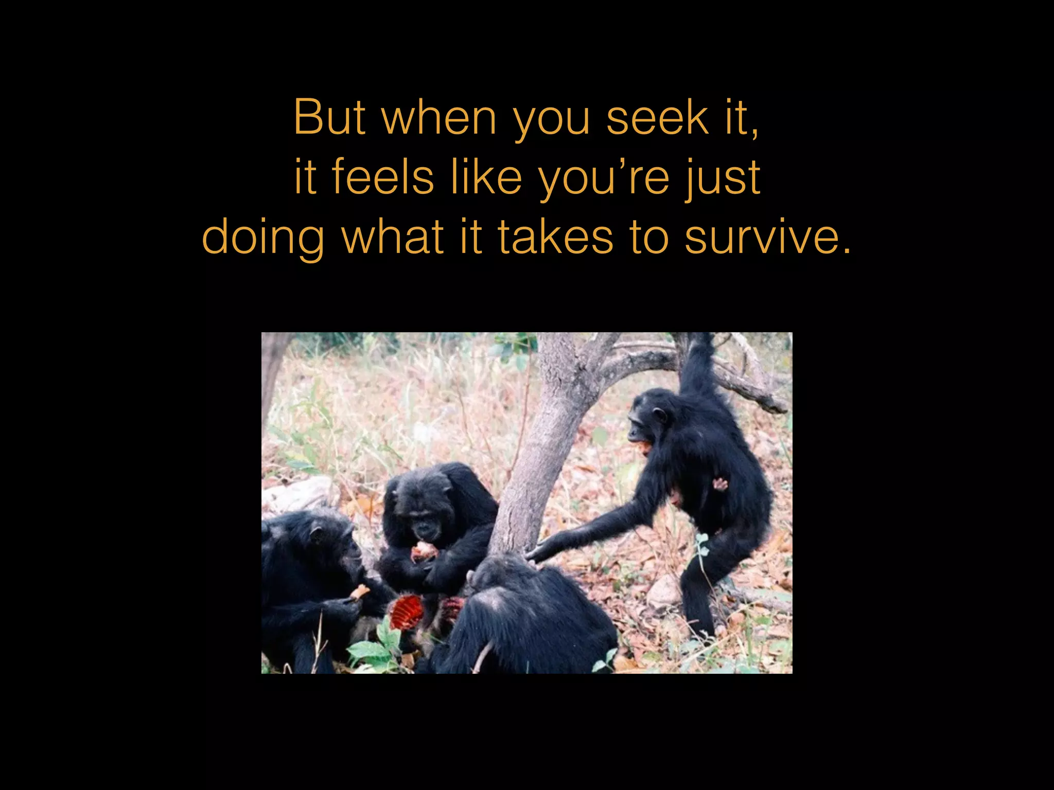 But when you seek it, 
it feels like you’re just 
doing what it takes to survive. 
 