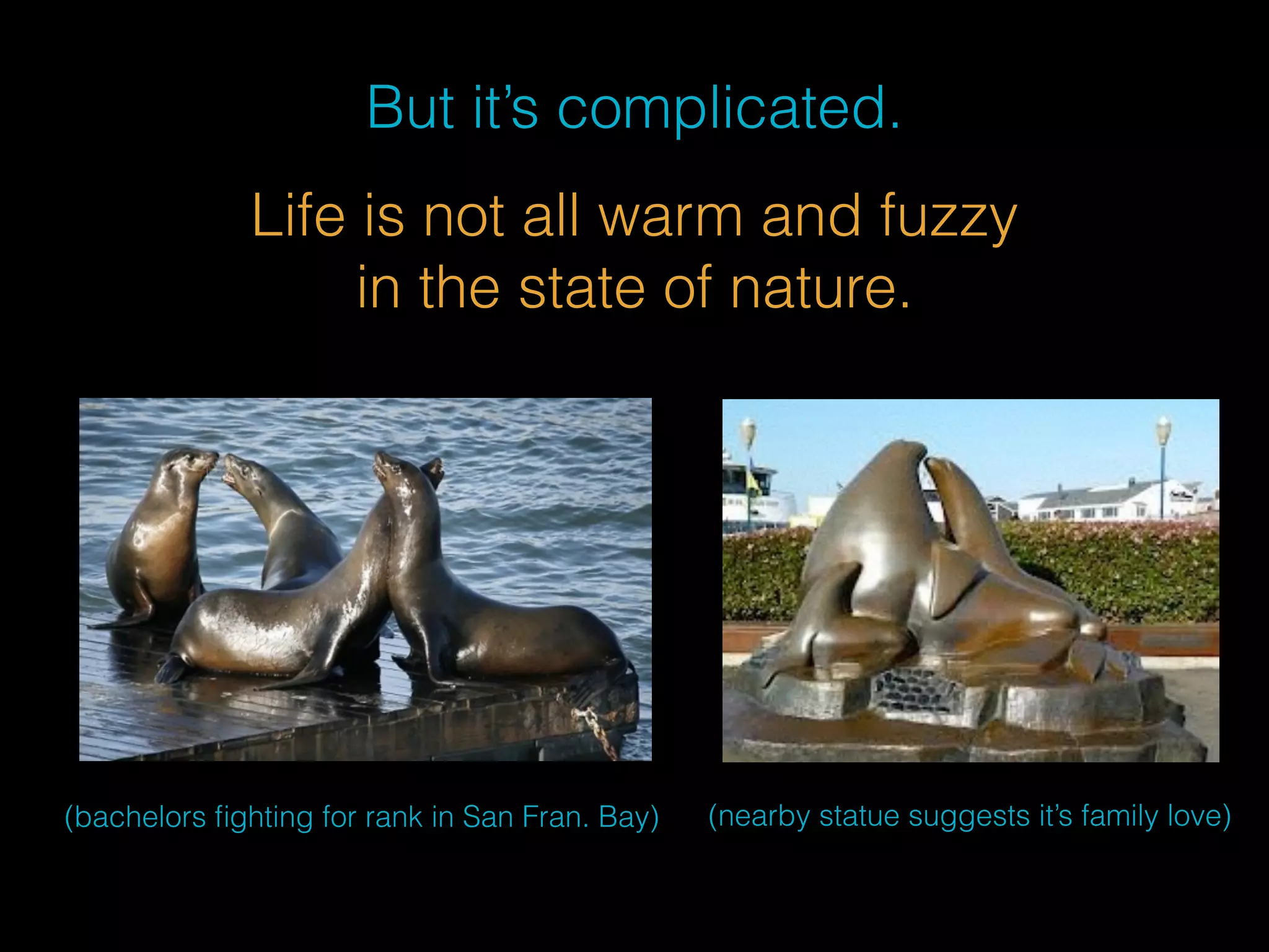 But it’s complicated. 
Life is not all warm and fuzzy 
in the state of nature. 
(bachelors fighting for rank in San Fran. Bay) (nearby statue suggests it’s family love) 
 