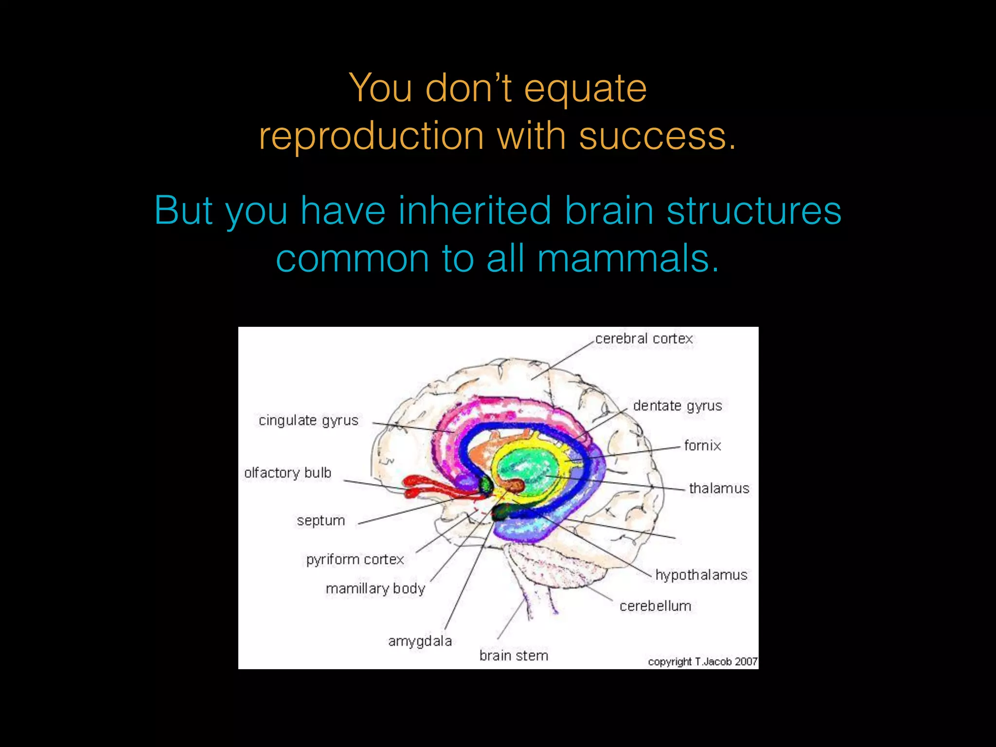 You don’t equate 
reproduction with success. 
But you have inherited brain structures 
common to all mammals. 
 