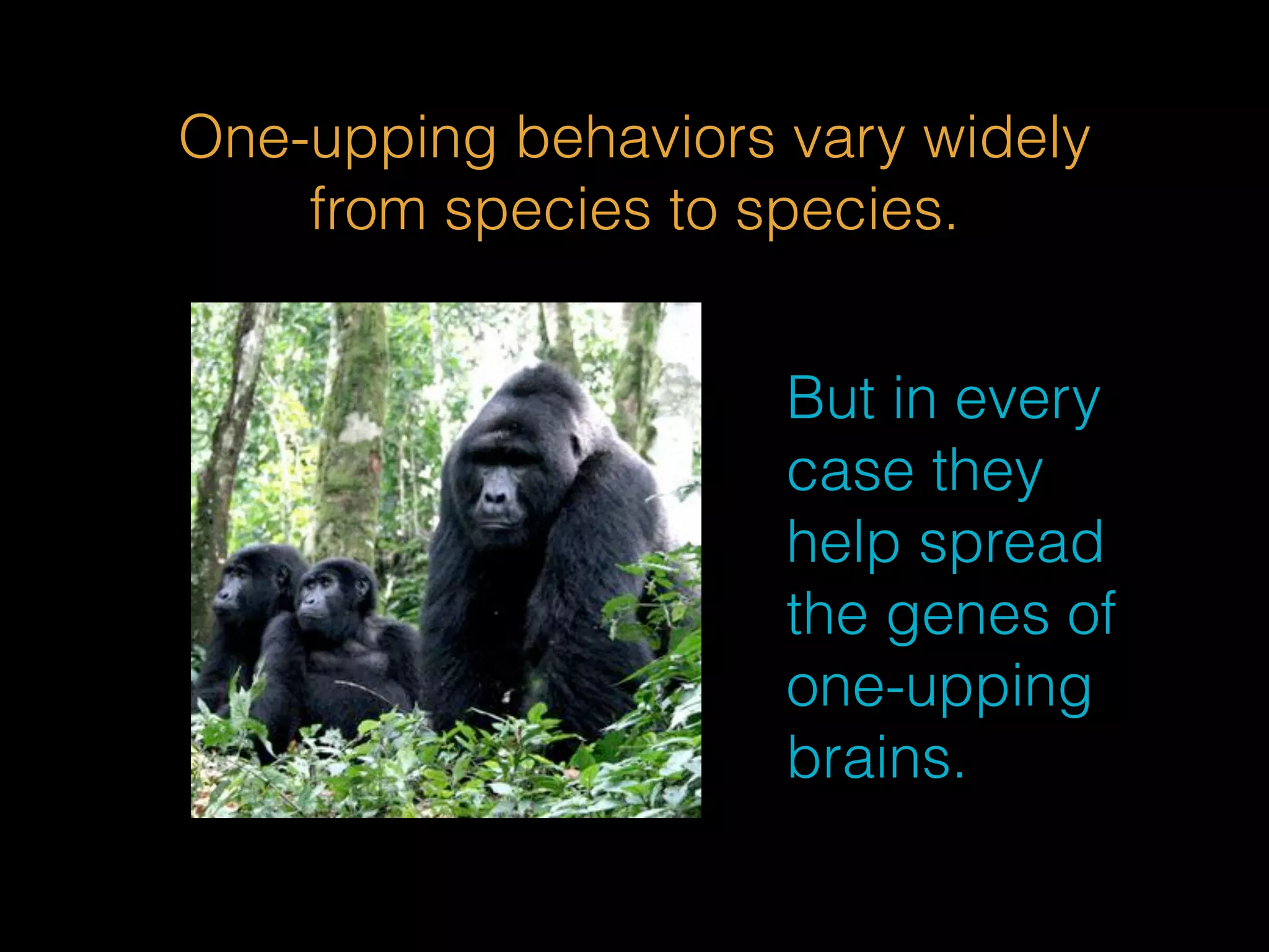 One-upping behaviors vary widely 
from species to species. 
But in every 
case they 
help spread 
the genes of 
one-upping 
brains. 
 