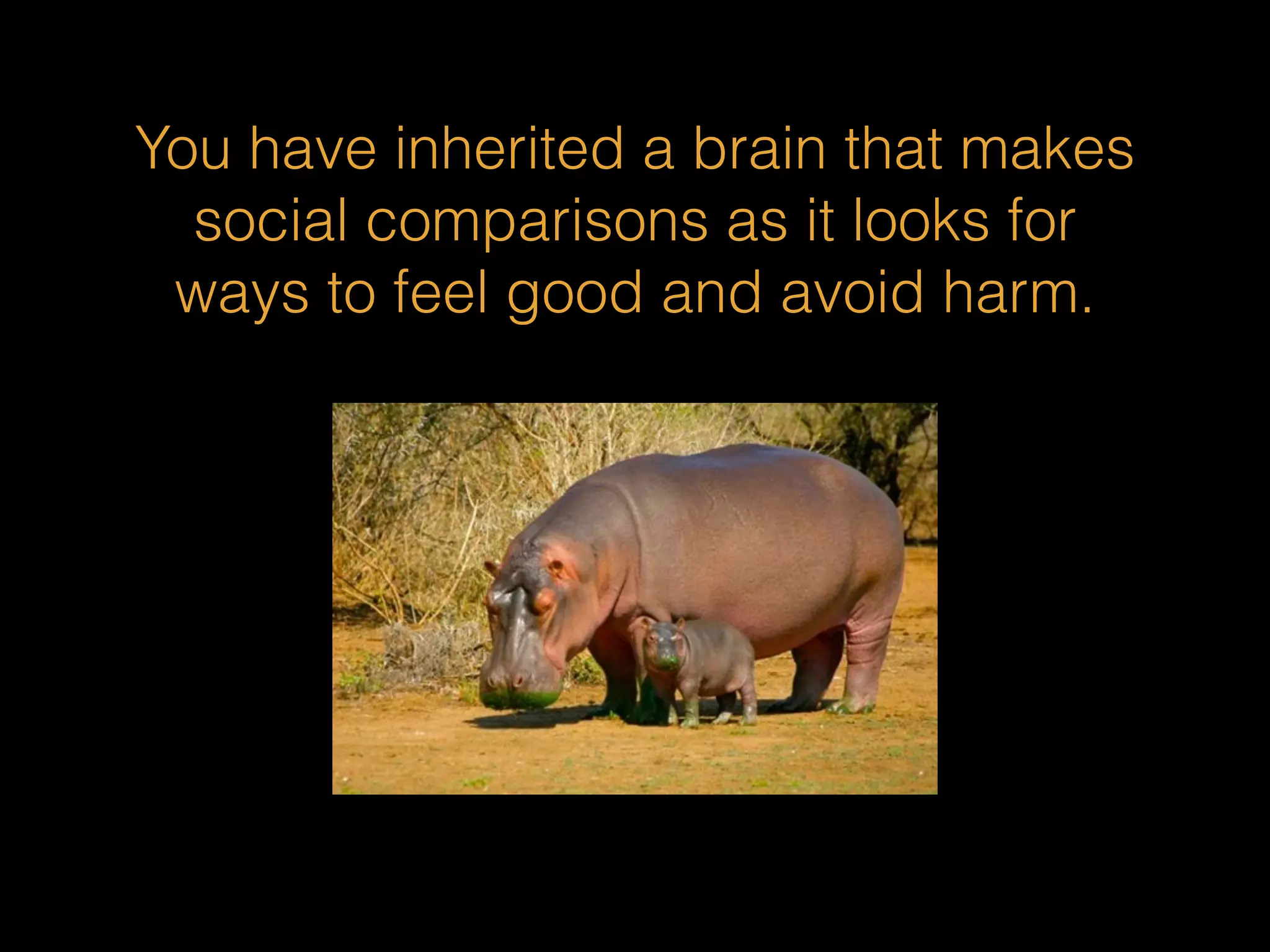 You have inherited a brain that makes 
social comparisons as it looks for 
ways to feel good and avoid harm. 
 