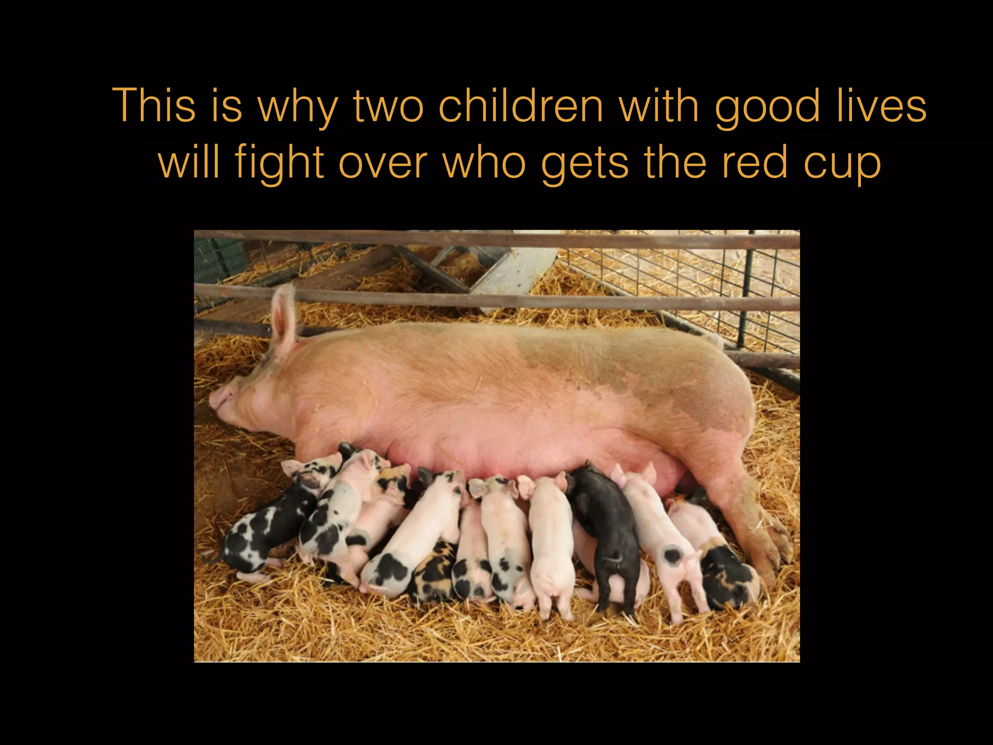 This is why two children with good lives 
will fight over who gets the red cup 
 