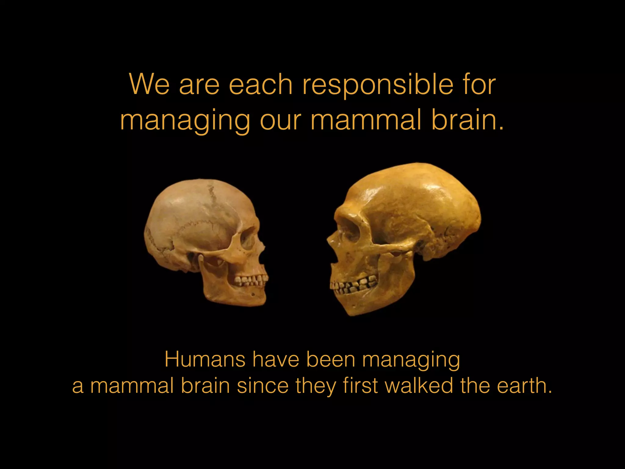 We are each responsible for 
managing our mammal brain. 
Humans have been managing 
a mammal brain since they first walked the earth. 
 