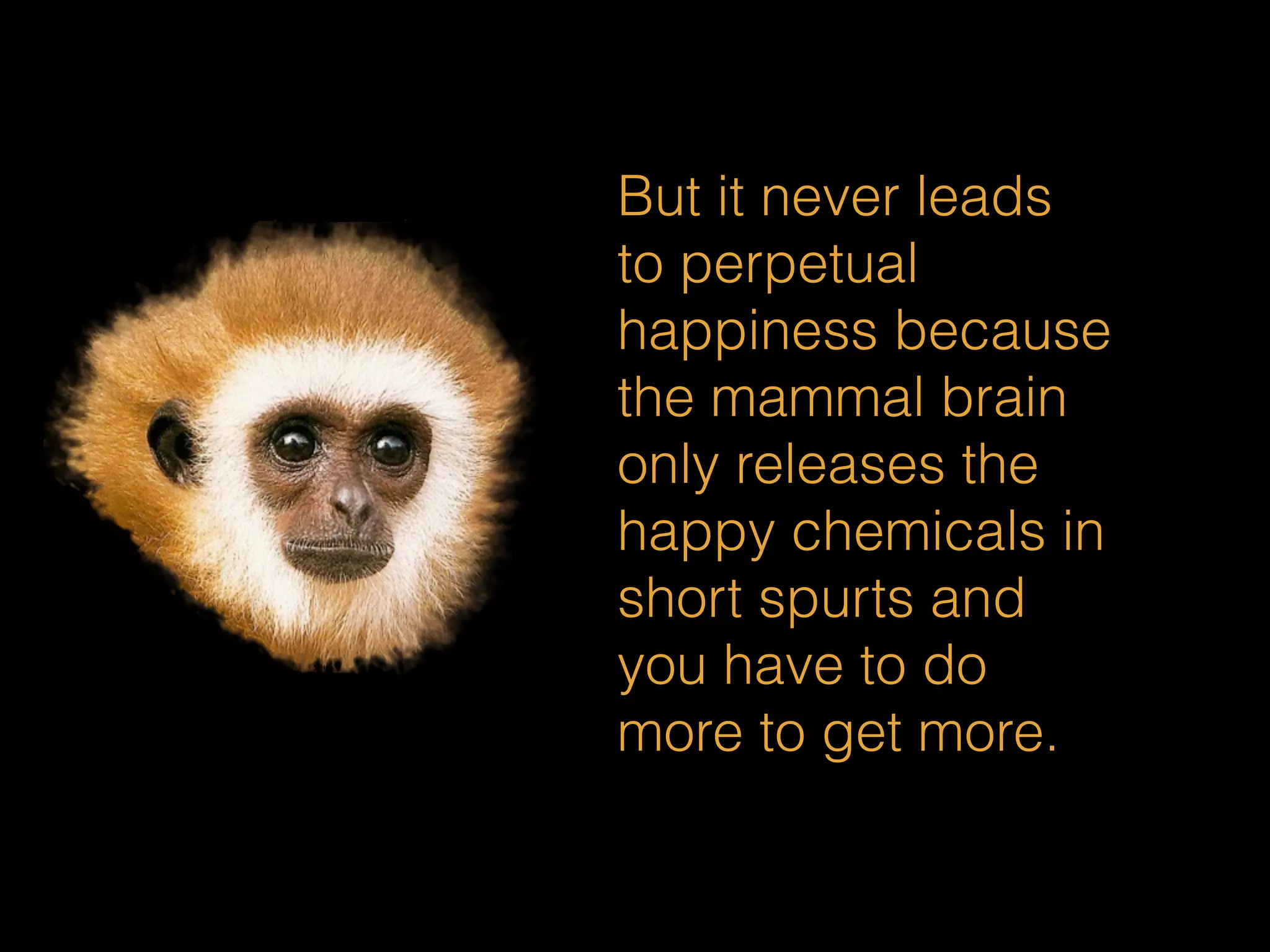 But it never leads 
to perpetual 
happiness because 
the mammal brain 
only releases the 
happy chemicals in 
short spurts and 
you have to do 
more to get more. 
 