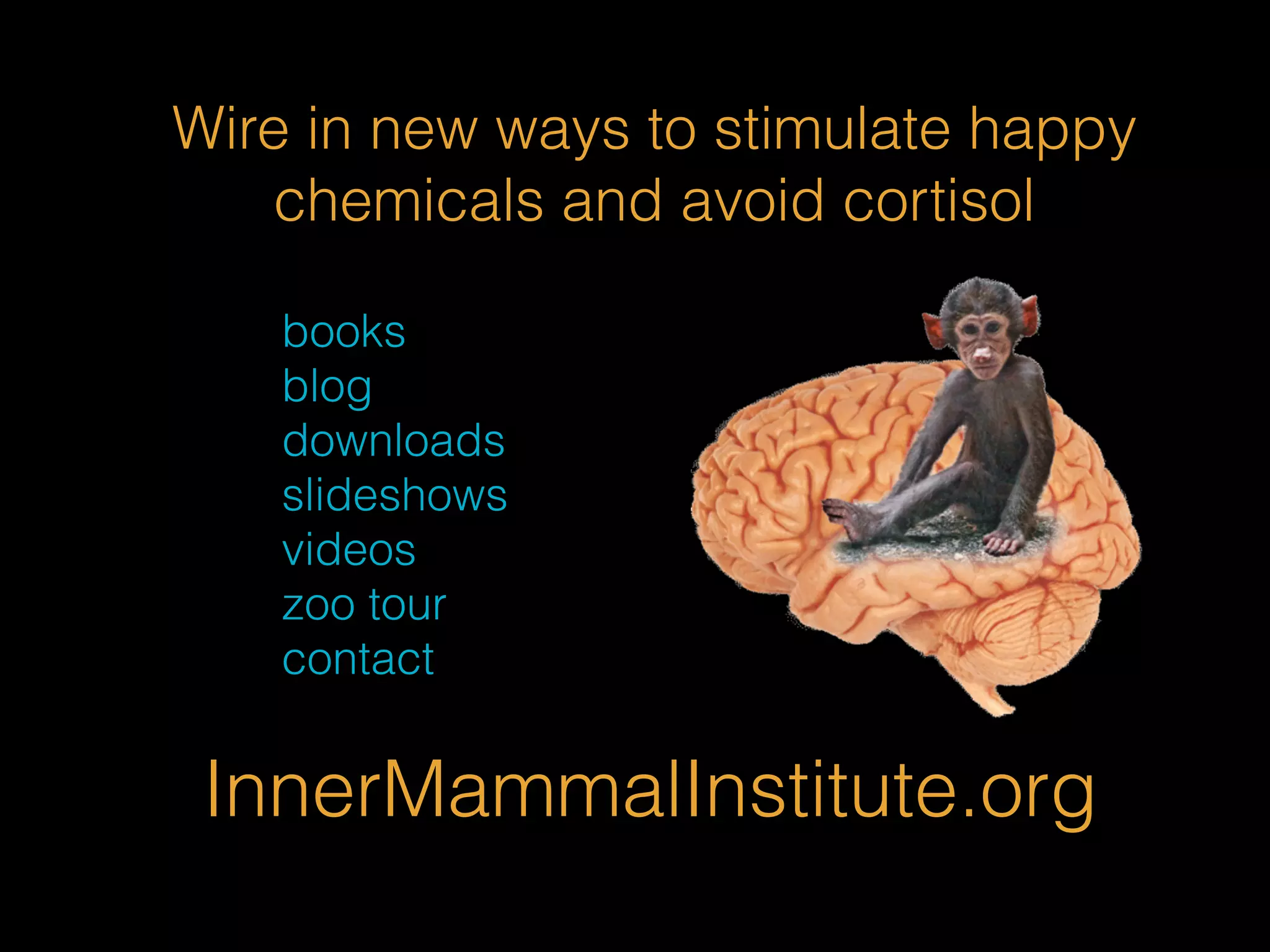 Wire in new ways to stimulate happy 
chemicals and avoid cortisol 
books 
blog 
downloads 
slideshows 
videos 
zoo tour 
contact 
InnerMammalInstitute.org 
 