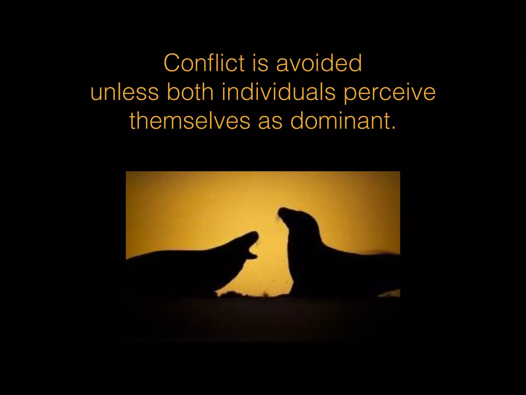 Conflict is avoided 
unless both individuals perceive 
themselves as dominant. 
 