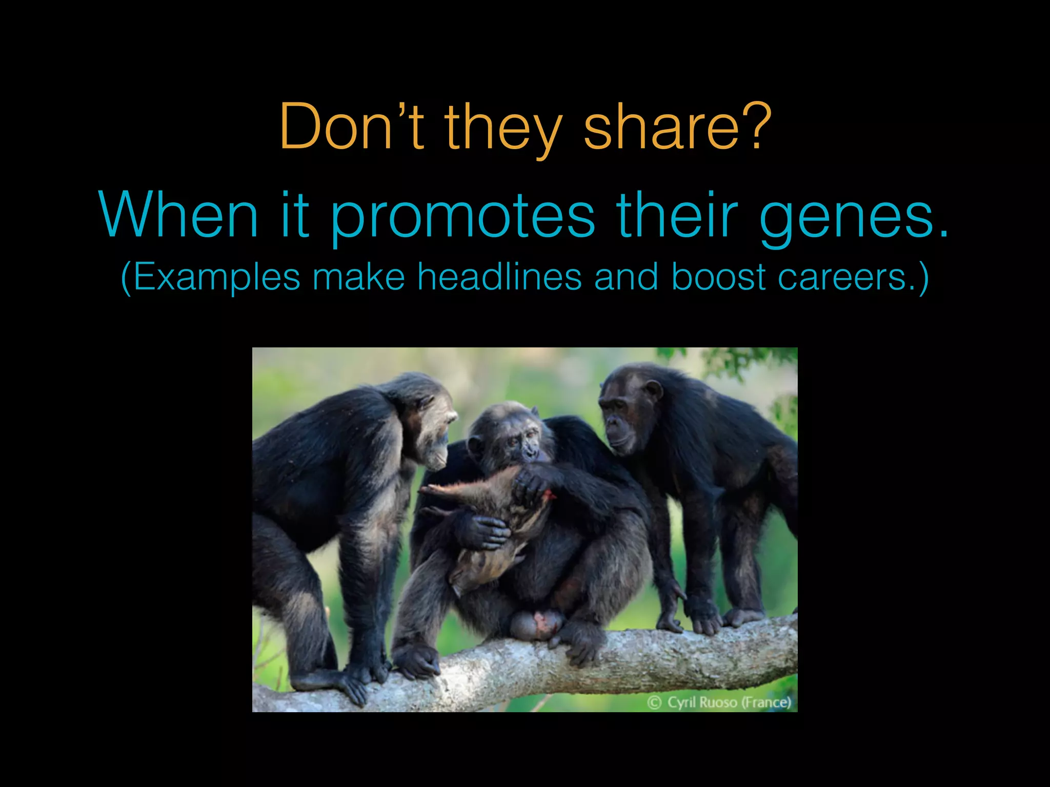 Don’t they share? 
When it promotes their genes. 
(Examples make headlines and boost careers.) 
 