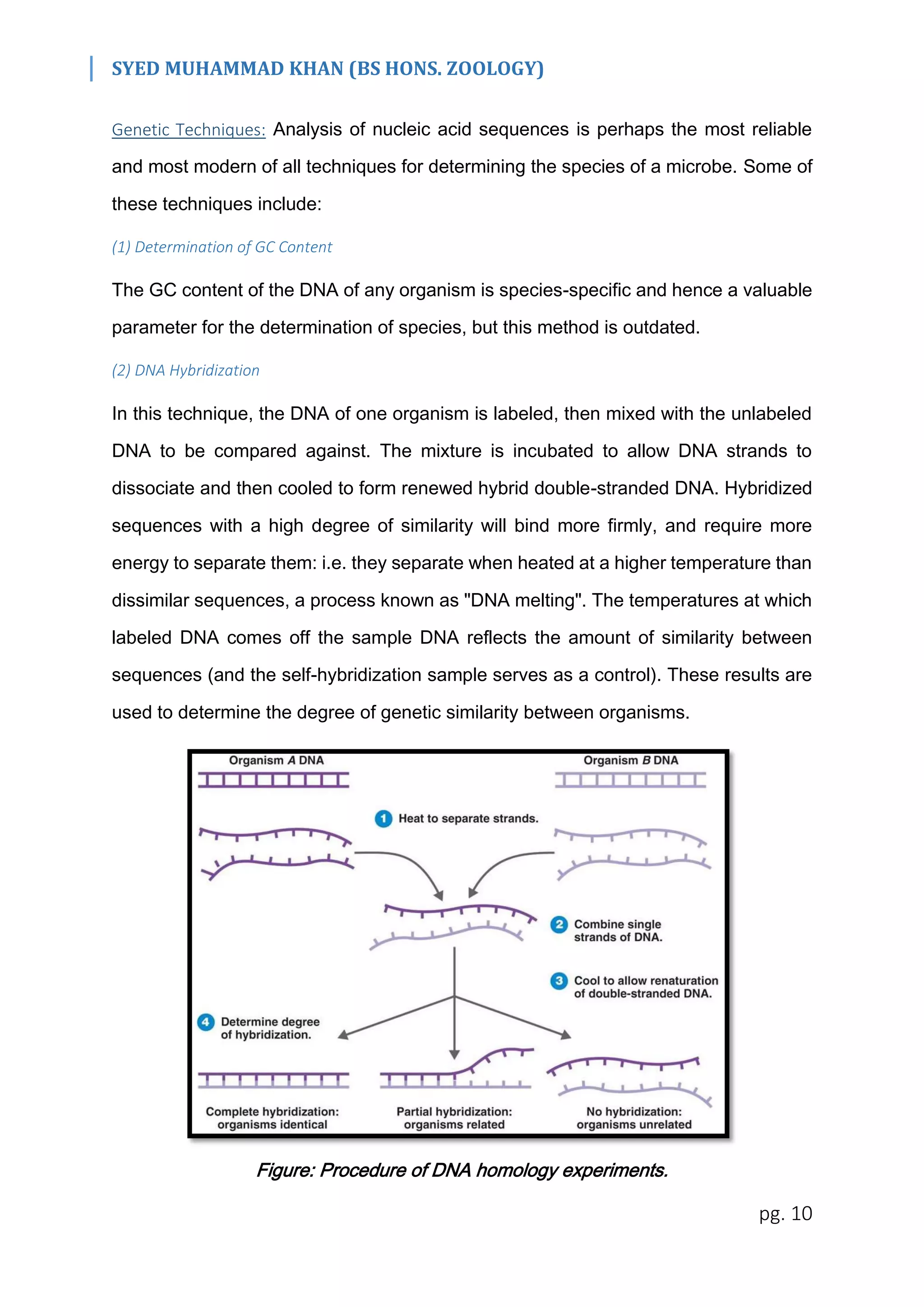 SYED MUHAMMAD KHAN (BS HONS. ZOOLOGY)
pg. 10
Genetic Techniques: Analysis of nucleic acid sequences is perhaps the most reliable
and most modern of all techniques for determining the species of a microbe. Some of
these techniques include:
(1) Determination of GC Content
The GC content of the DNA of any organism is species-specific and hence a valuable
parameter for the determination of species, but this method is outdated.
(2) DNA Hybridization
In this technique, the DNA of one organism is labeled, then mixed with the unlabeled
DNA to be compared against. The mixture is incubated to allow DNA strands to
dissociate and then cooled to form renewed hybrid double-stranded DNA. Hybridized
sequences with a high degree of similarity will bind more firmly, and require more
energy to separate them: i.e. they separate when heated at a higher temperature than
dissimilar sequences, a process known as "DNA melting". The temperatures at which
labeled DNA comes off the sample DNA reflects the amount of similarity between
sequences (and the self-hybridization sample serves as a control). These results are
used to determine the degree of genetic similarity between organisms.
Figure: Procedure of DNA homology experiments.
 