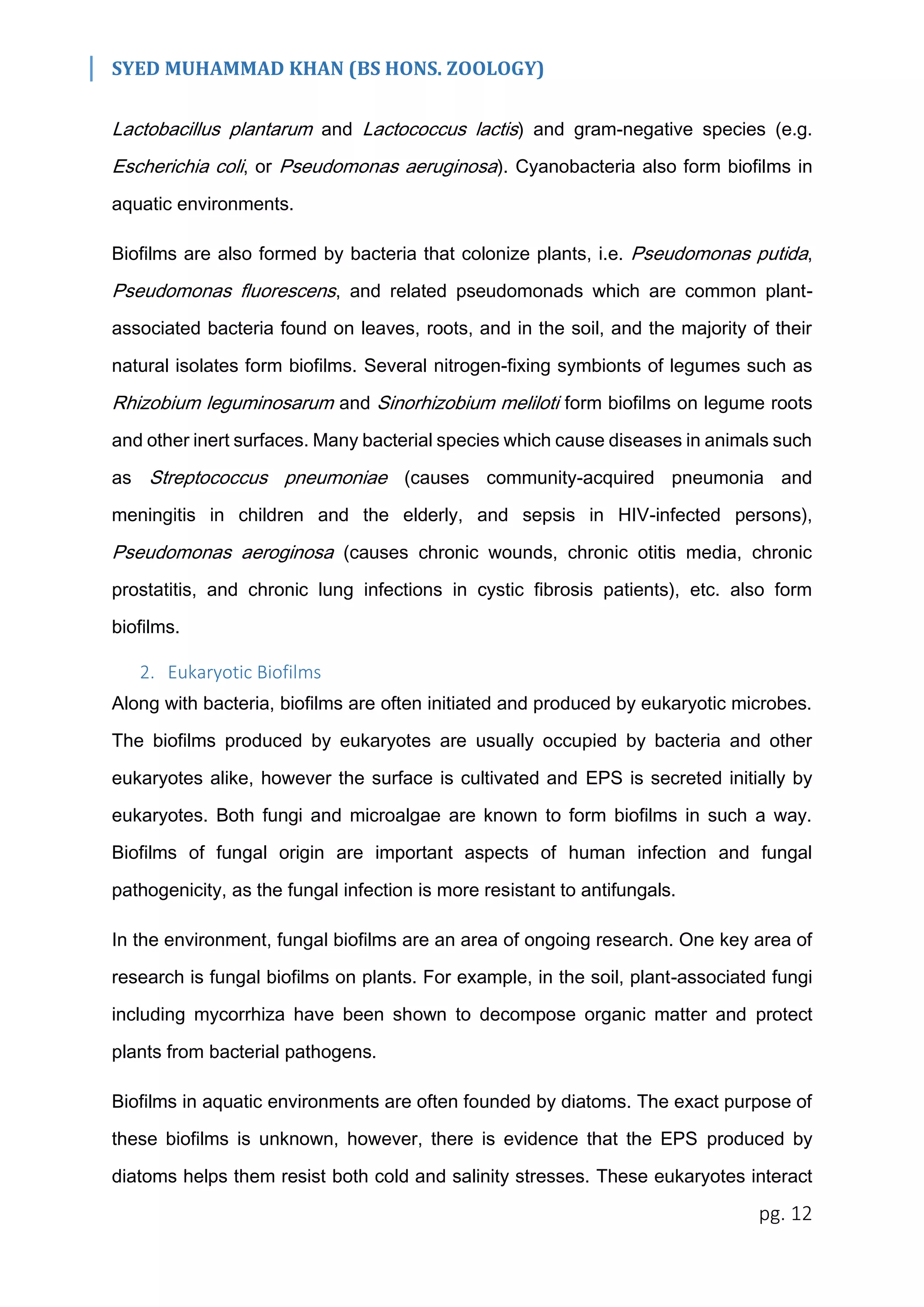 SYED MUHAMMAD KHAN (BS HONS. ZOOLOGY)
pg. 12
Lactobacillus plantarum and Lactococcus lactis) and gram-negative species (e.g.
Escherichia coli, or Pseudomonas aeruginosa). Cyanobacteria also form biofilms in
aquatic environments.
Biofilms are also formed by bacteria that colonize plants, i.e. Pseudomonas putida,
Pseudomonas fluorescens, and related pseudomonads which are common plant-
associated bacteria found on leaves, roots, and in the soil, and the majority of their
natural isolates form biofilms. Several nitrogen-fixing symbionts of legumes such as
Rhizobium leguminosarum and Sinorhizobium meliloti form biofilms on legume roots
and other inert surfaces. Many bacterial species which cause diseases in animals such
as Streptococcus pneumoniae (causes community-acquired pneumonia and
meningitis in children and the elderly, and sepsis in HIV-infected persons),
Pseudomonas aeroginosa (causes chronic wounds, chronic otitis media, chronic
prostatitis, and chronic lung infections in cystic fibrosis patients), etc. also form
biofilms.
2. Eukaryotic Biofilms
Along with bacteria, biofilms are often initiated and produced by eukaryotic microbes.
The biofilms produced by eukaryotes are usually occupied by bacteria and other
eukaryotes alike, however the surface is cultivated and EPS is secreted initially by
eukaryotes. Both fungi and microalgae are known to form biofilms in such a way.
Biofilms of fungal origin are important aspects of human infection and fungal
pathogenicity, as the fungal infection is more resistant to antifungals.
In the environment, fungal biofilms are an area of ongoing research. One key area of
research is fungal biofilms on plants. For example, in the soil, plant-associated fungi
including mycorrhiza have been shown to decompose organic matter and protect
plants from bacterial pathogens.
Biofilms in aquatic environments are often founded by diatoms. The exact purpose of
these biofilms is unknown, however, there is evidence that the EPS produced by
diatoms helps them resist both cold and salinity stresses. These eukaryotes interact
 