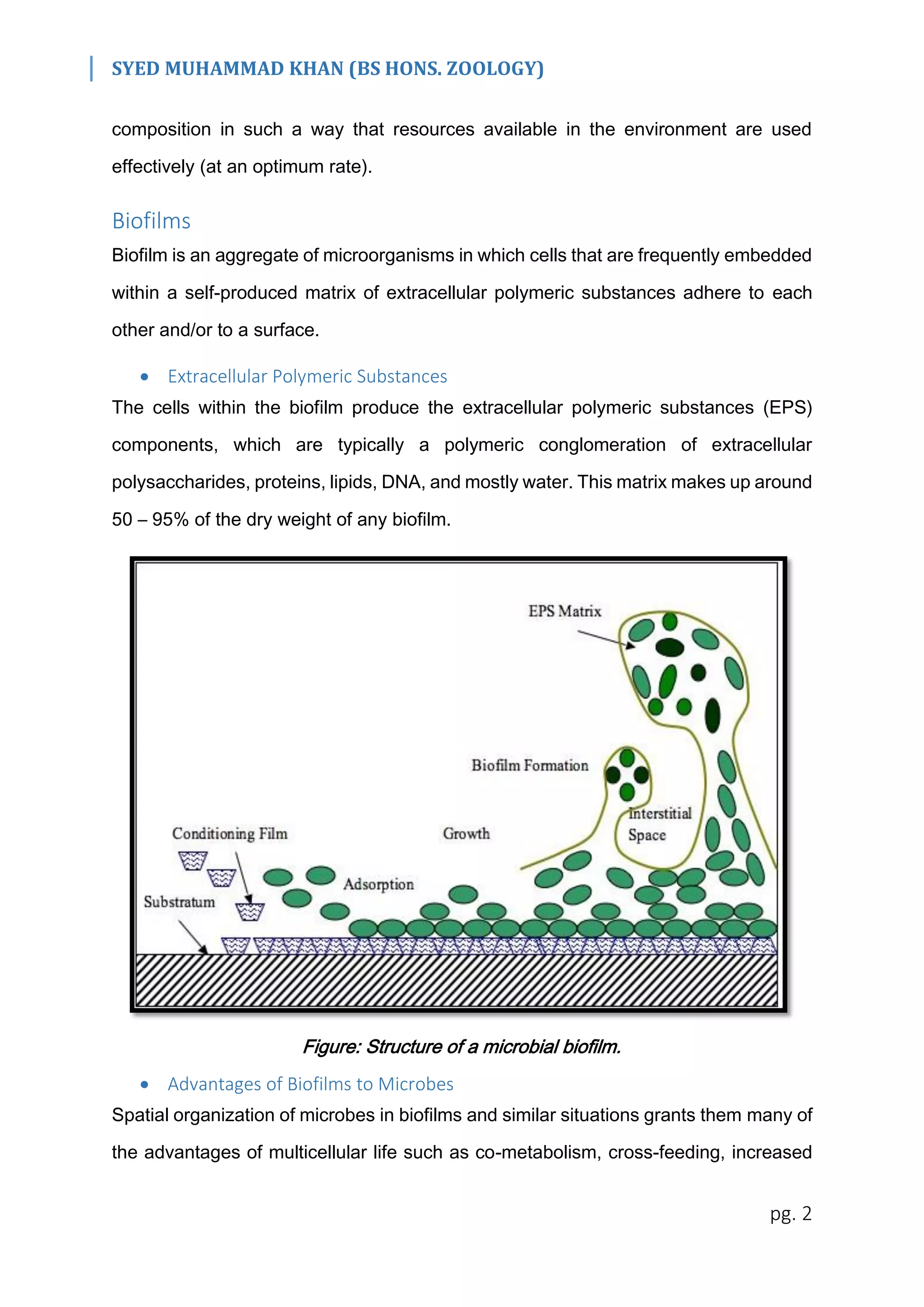 SYED MUHAMMAD KHAN (BS HONS. ZOOLOGY)
pg. 2
composition in such a way that resources available in the environment are used
effectively (at an optimum rate).
Biofilms
Biofilm is an aggregate of microorganisms in which cells that are frequently embedded
within a self-produced matrix of extracellular polymeric substances adhere to each
other and/or to a surface.
 Extracellular Polymeric Substances
The cells within the biofilm produce the extracellular polymeric substances (EPS)
components, which are typically a polymeric conglomeration of extracellular
polysaccharides, proteins, lipids, DNA, and mostly water. This matrix makes up around
50 – 95% of the dry weight of any biofilm.
Figure: Structure of a microbial biofilm.
 Advantages of Biofilms to Microbes
Spatial organization of microbes in biofilms and similar situations grants them many of
the advantages of multicellular life such as co-metabolism, cross-feeding, increased
 