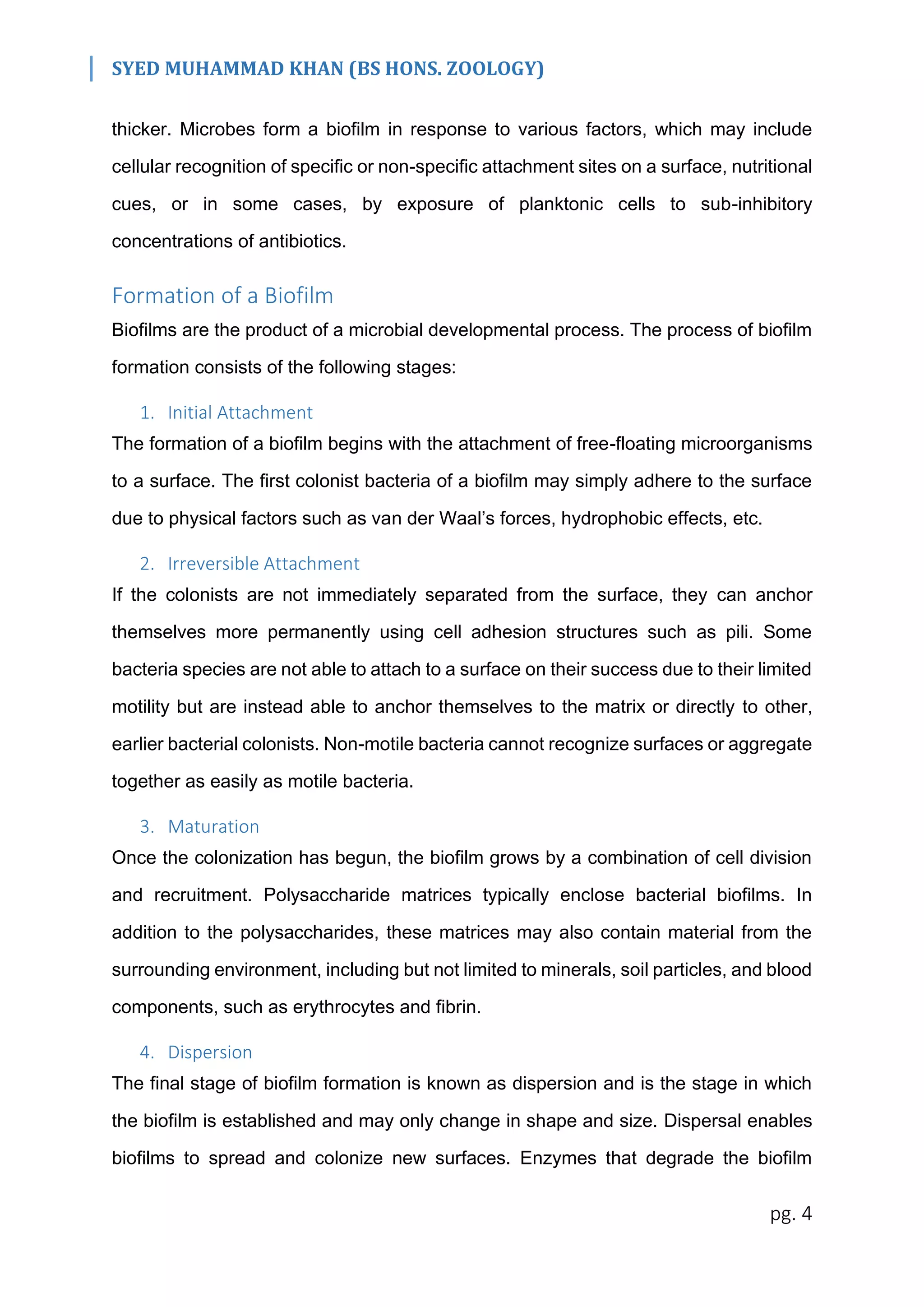 SYED MUHAMMAD KHAN (BS HONS. ZOOLOGY)
pg. 4
thicker. Microbes form a biofilm in response to various factors, which may include
cellular recognition of specific or non-specific attachment sites on a surface, nutritional
cues, or in some cases, by exposure of planktonic cells to sub-inhibitory
concentrations of antibiotics.
Formation of a Biofilm
Biofilms are the product of a microbial developmental process. The process of biofilm
formation consists of the following stages:
1. Initial Attachment
The formation of a biofilm begins with the attachment of free-floating microorganisms
to a surface. The first colonist bacteria of a biofilm may simply adhere to the surface
due to physical factors such as van der Waal’s forces, hydrophobic effects, etc.
2. Irreversible Attachment
If the colonists are not immediately separated from the surface, they can anchor
themselves more permanently using cell adhesion structures such as pili. Some
bacteria species are not able to attach to a surface on their success due to their limited
motility but are instead able to anchor themselves to the matrix or directly to other,
earlier bacterial colonists. Non-motile bacteria cannot recognize surfaces or aggregate
together as easily as motile bacteria.
3. Maturation
Once the colonization has begun, the biofilm grows by a combination of cell division
and recruitment. Polysaccharide matrices typically enclose bacterial biofilms. In
addition to the polysaccharides, these matrices may also contain material from the
surrounding environment, including but not limited to minerals, soil particles, and blood
components, such as erythrocytes and fibrin.
4. Dispersion
The final stage of biofilm formation is known as dispersion and is the stage in which
the biofilm is established and may only change in shape and size. Dispersal enables
biofilms to spread and colonize new surfaces. Enzymes that degrade the biofilm
 