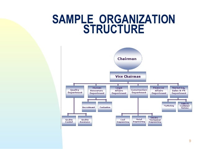 nature of organization management sample of company structure