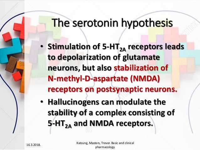 5ht2a nmda