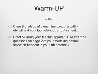 Warm-UP

 Clear the tables of everything except a writing
  utensil and your lab notebook or data sheet.

 Practice using your feeding apparatus. Answer the
  questions on page 2 of your modeling natural
  selection handout in your lab notebook.
 
