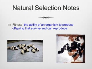 Natural Selection Notes

 Fitness the ability of an organism to produce
  offspring that survive and can reproduce
 