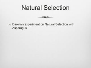 Natural Selection

 Darwin‟s experiment on Natural Selection with
  Asparagus
 