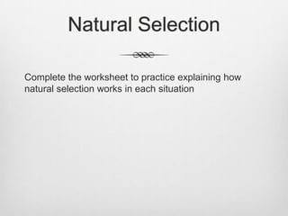 Natural Selection

Complete the worksheet to practice explaining how
natural selection works in each situation
 