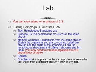 Lab
 You can work alone or in groups of 2-3
 Finding Homologous Structures Lab
    Title: Homologous Structures Lab
    Purpose: To find homologous structures in the same
     phylum
    Method: Compare 2 organisms from the same phylum.
     Sketch the organisms you are comparing. Label the
     phylum and the name of the organisms. Look for
     homologous structures and different structure and list
     them. (You only need to compare organisms from 6
     phylums out of the 9)
    Results
    Conclusion: Are organism in the same phylum more similar
     that those from a different phylum? Why or why not?
 
