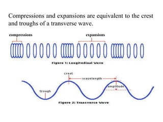 Nature of waves | PPTX