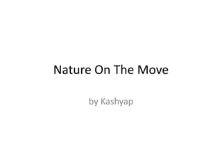 Nature On The Move

     by Kashyap
 
