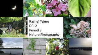 Rachel Tejero
DPI 2
Period 3
Nature Photography
 