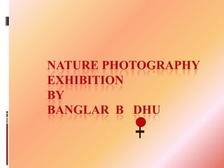 NATURE PHOTOGRAPHY
EXHIBITION
BY
BANGLAR B DHU
 