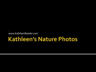 Kathleen’s Nature Photos . www.KathleenReeder.com 