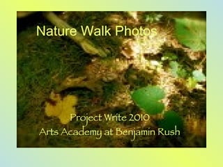 Project Write 2010 Arts Academy at Benjamin Rush Nature Walk Photos 